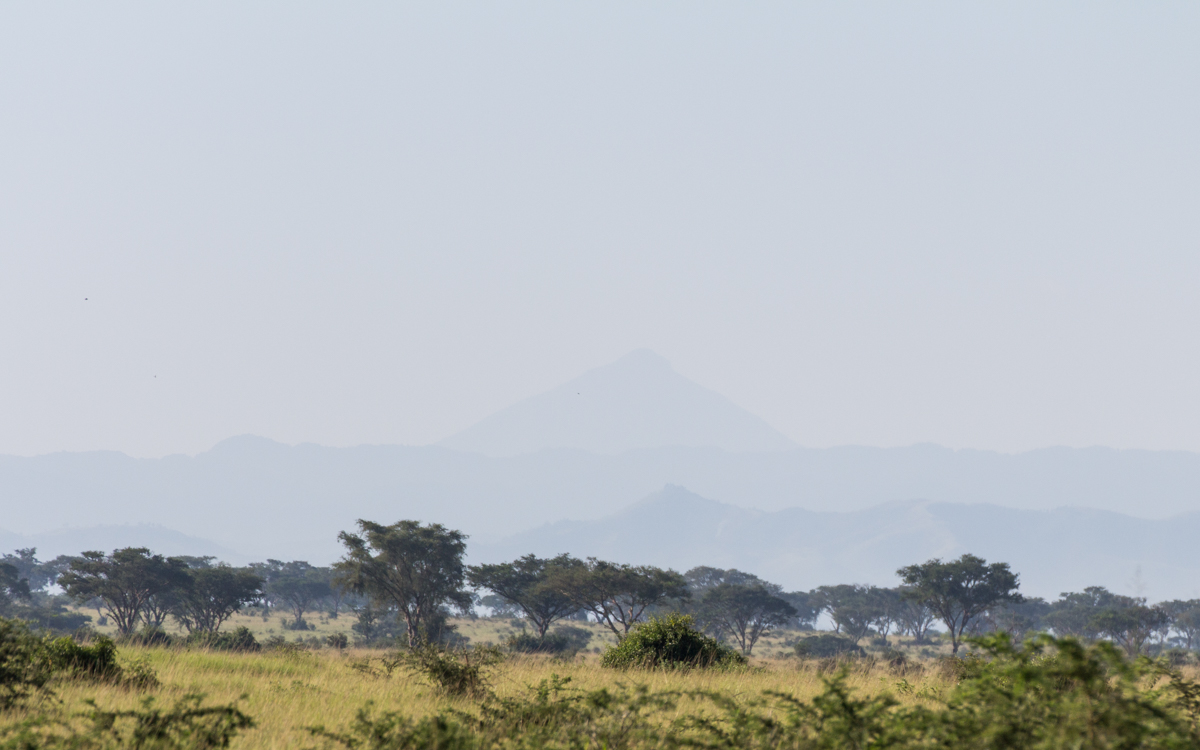 ishasha-qen-gamedrive-3