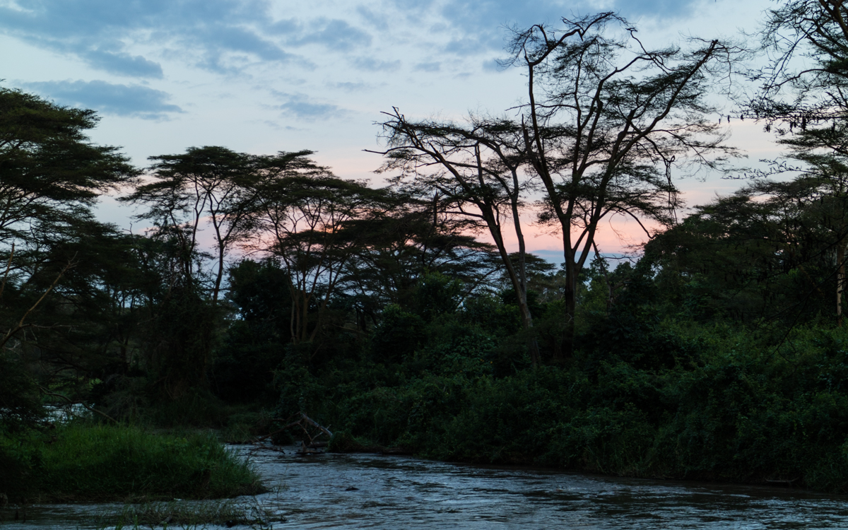 ishasha-qen-gamedrive-60