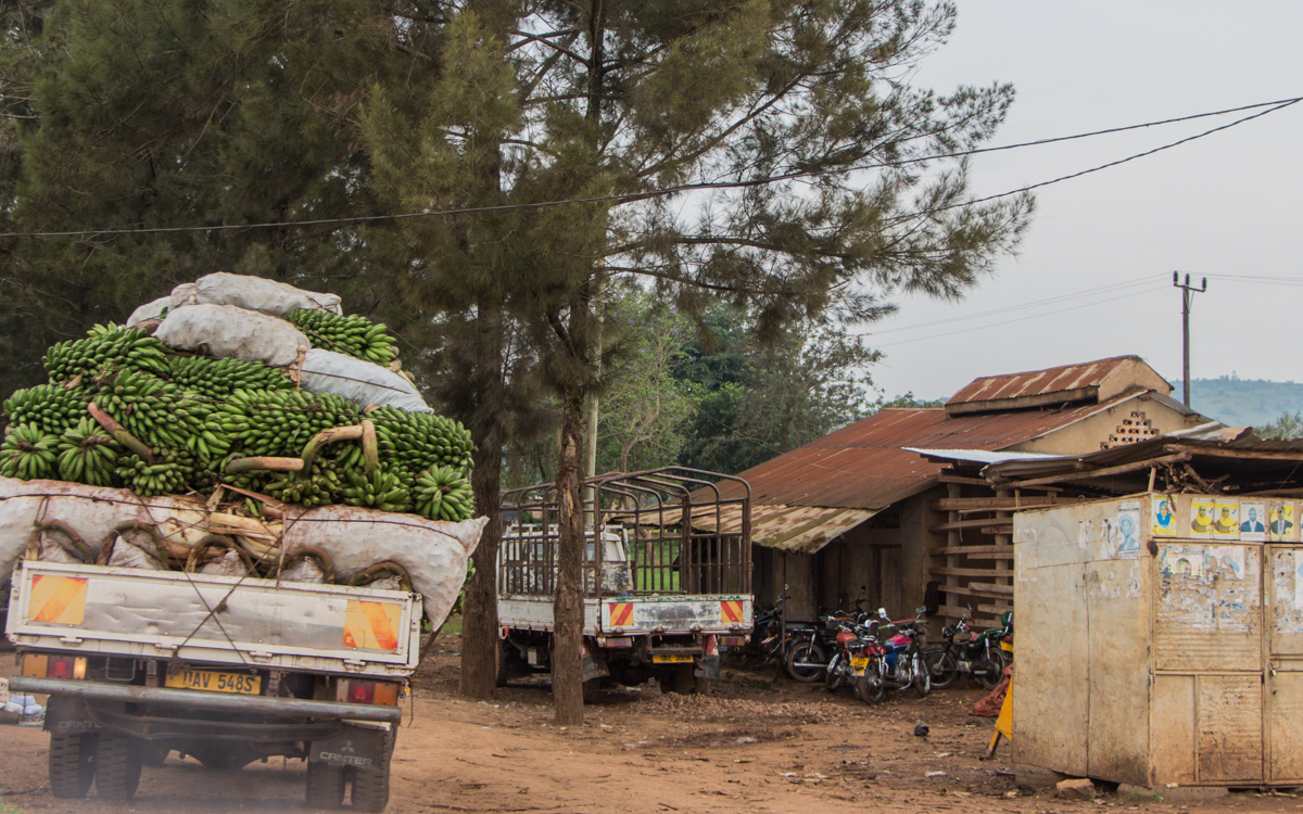 lake-mburo-nach-entebbe-27