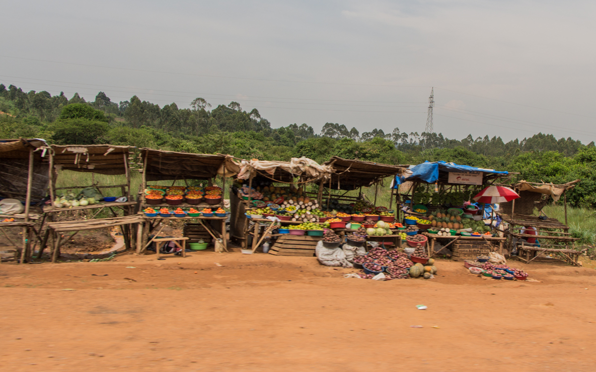 lake-mburo-nach-entebbe-47