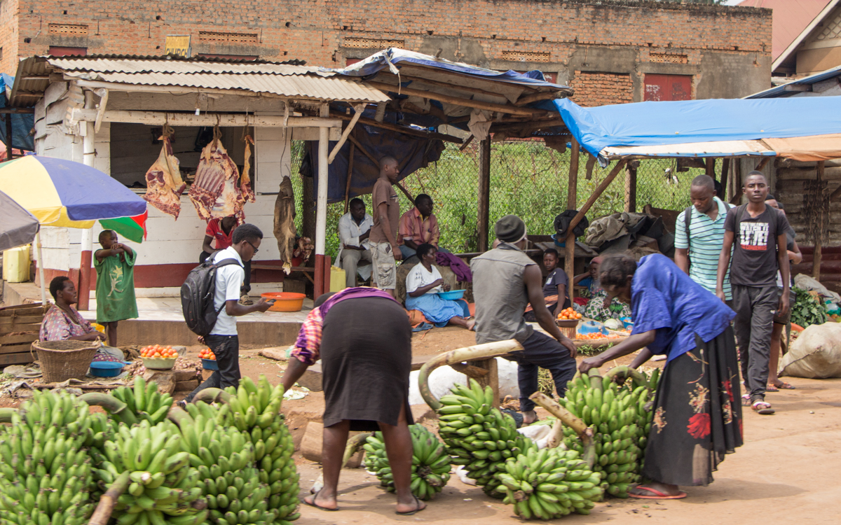 lake-mburo-nach-entebbe-53