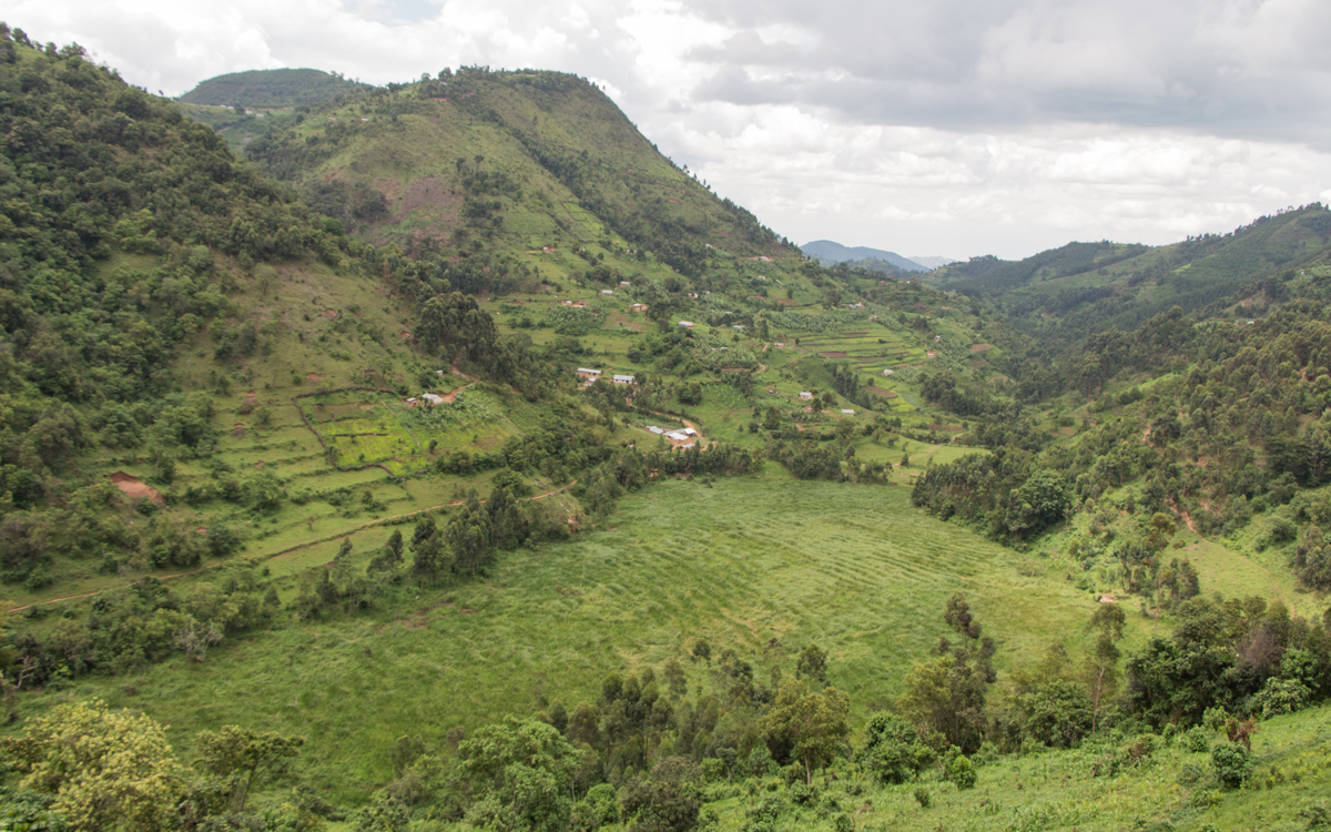 mgahinga-nationalpark-14