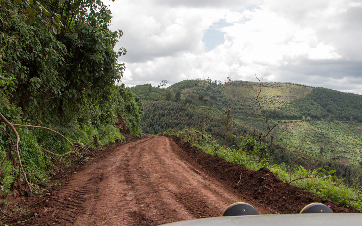 mgahinga-nationalpark-18