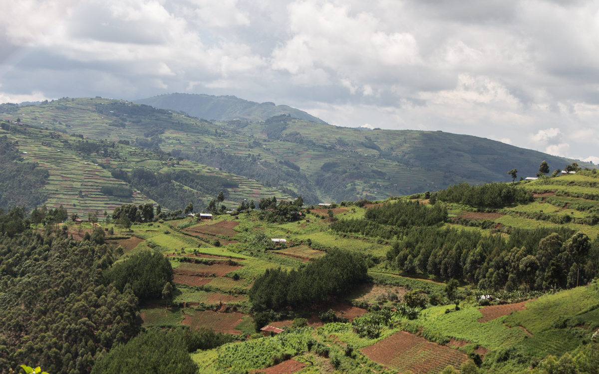 mgahinga-nationalpark-20