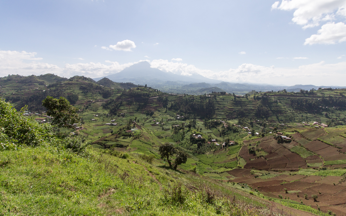 mgahinga-nationalpark-29