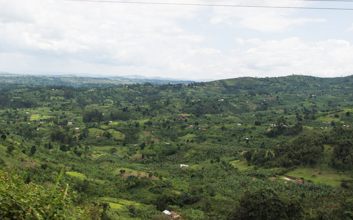 mgahinga-nationalpark-6