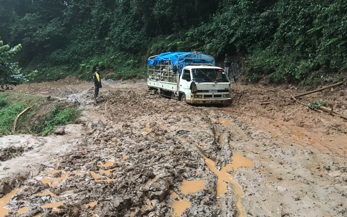 Gorilla Trekking Uganda: Straße Ruhija Buhoma