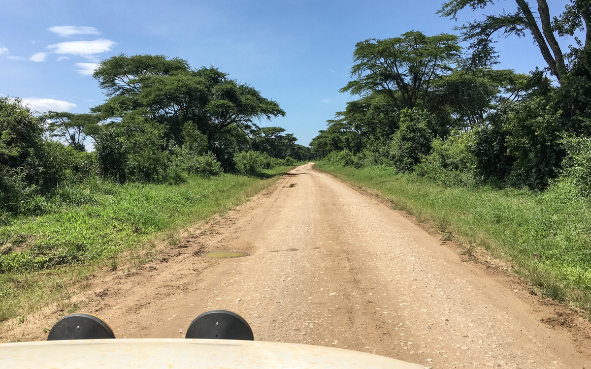 queen-elizabeth-np-nach-ishasha-12