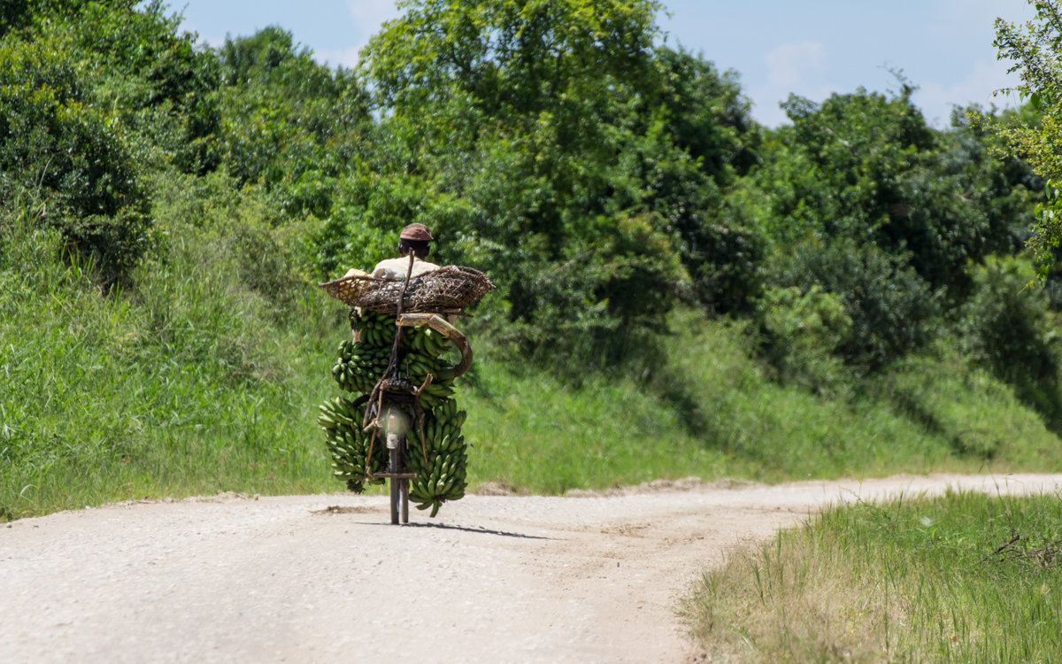 queen-elizabeth-np-nach-ishasha-3