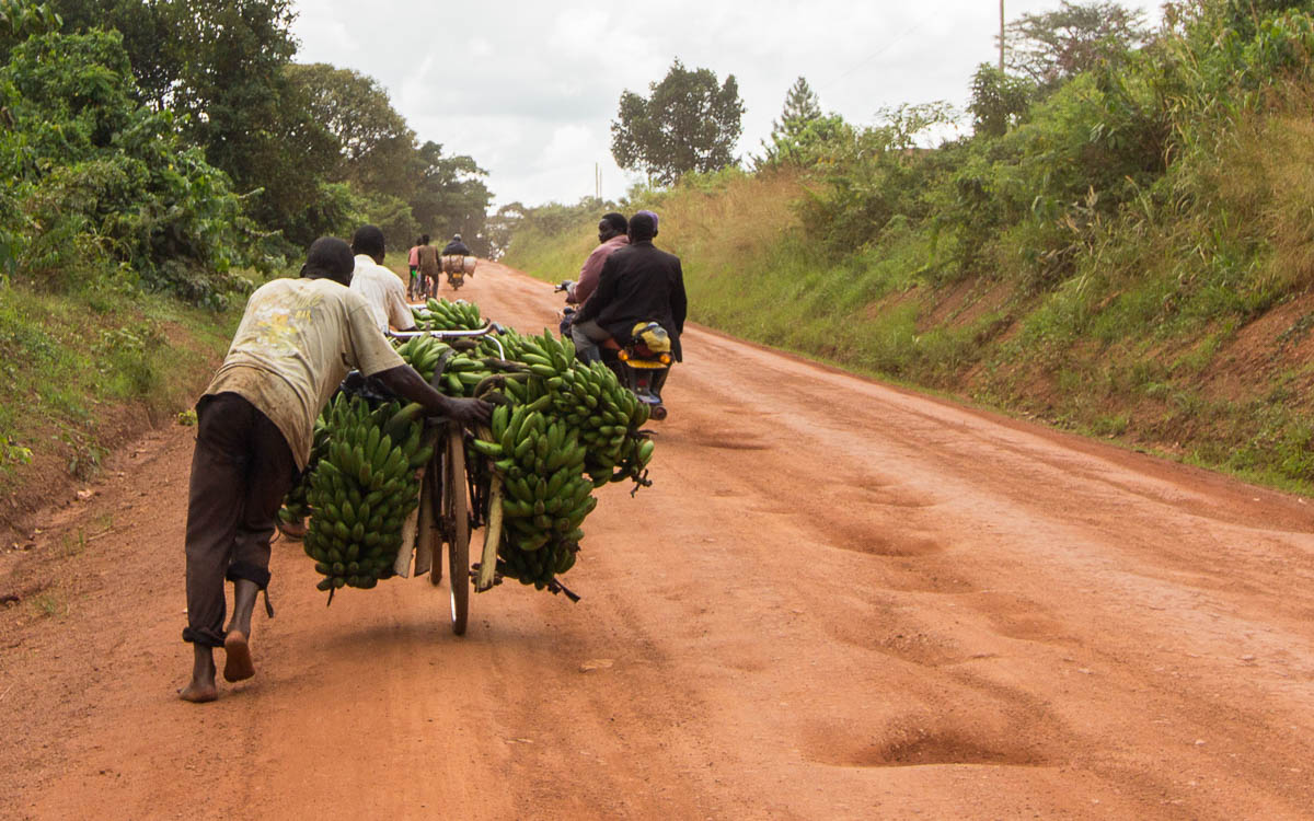strasse-hoima-fortportal-fahrrad