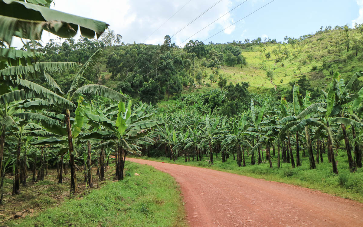 strasse-qualitaet-buhoma-bwindi