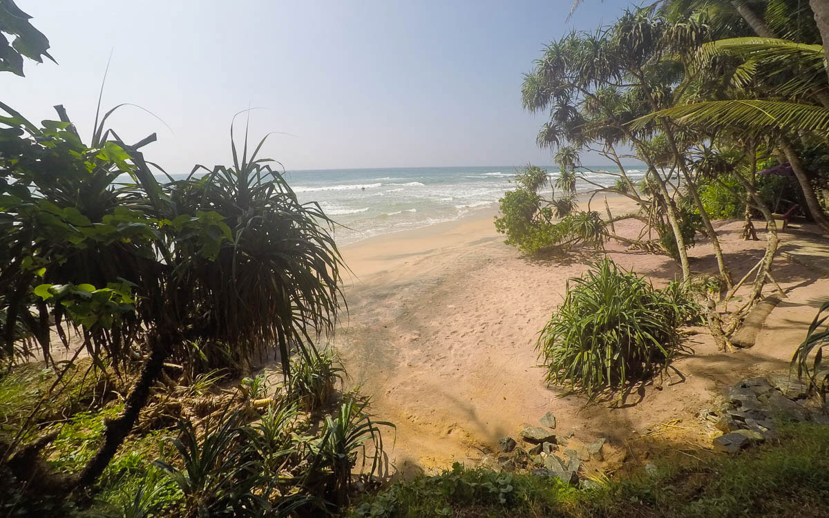 Urlaubsziele im Januar Sri Lanka