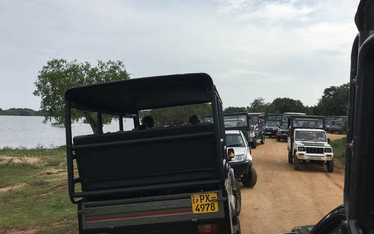 Tierschutz in Sri Lanka Yala Nationalpark