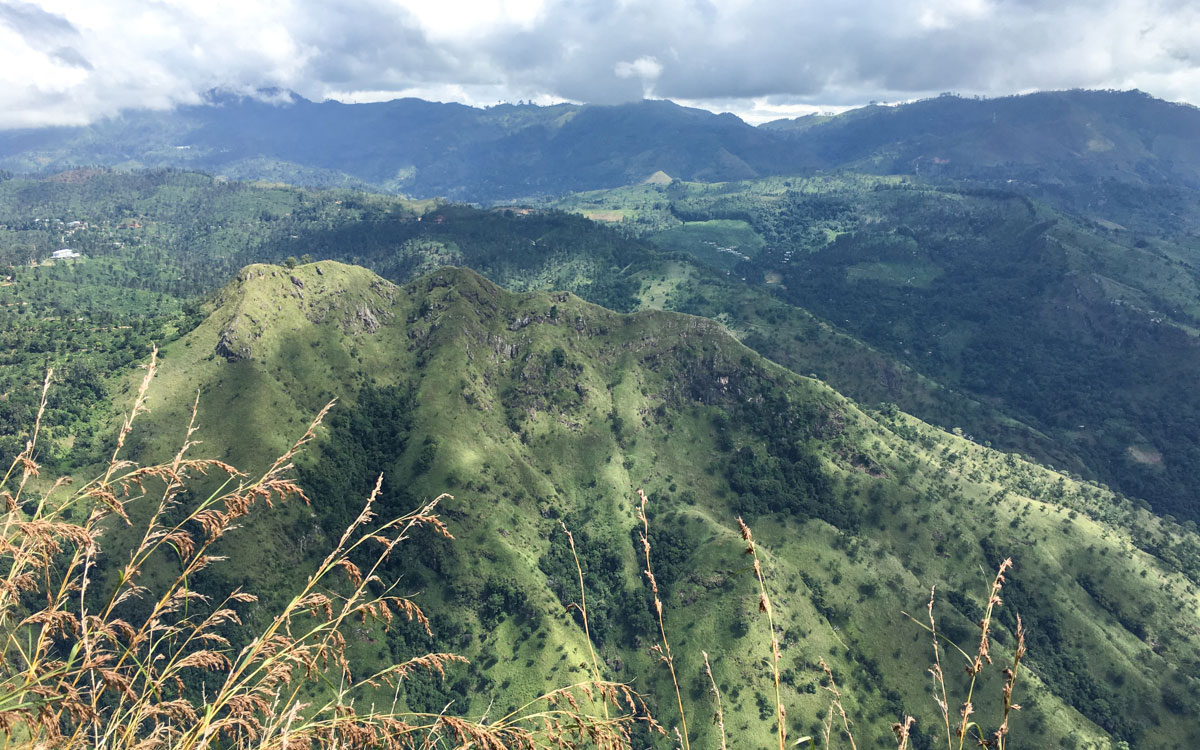 Ausblick Ella Rock auf Little Adams Peak