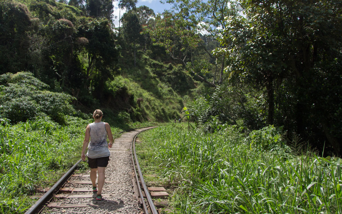 ella-rock-bahngleise-weg