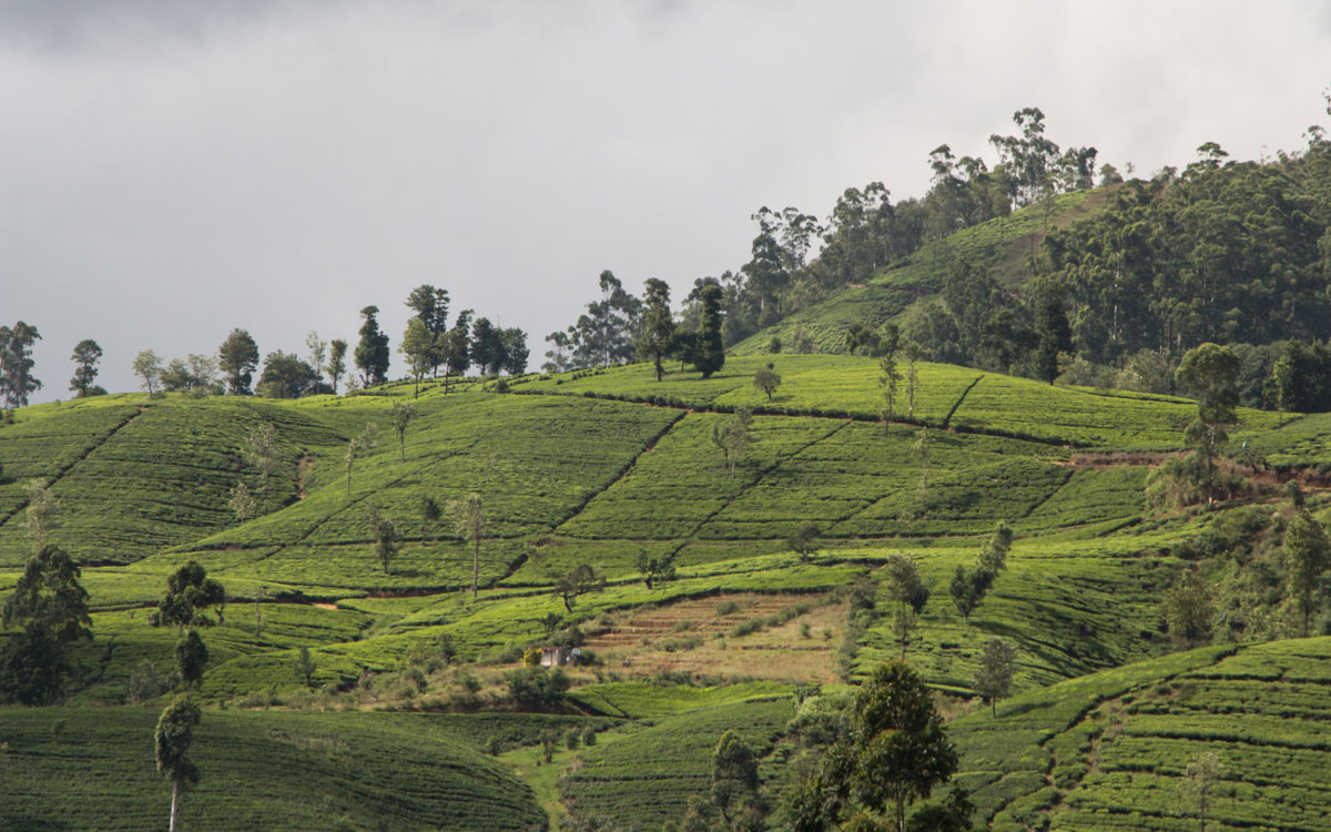 zugfahrt-sri-lanka-5