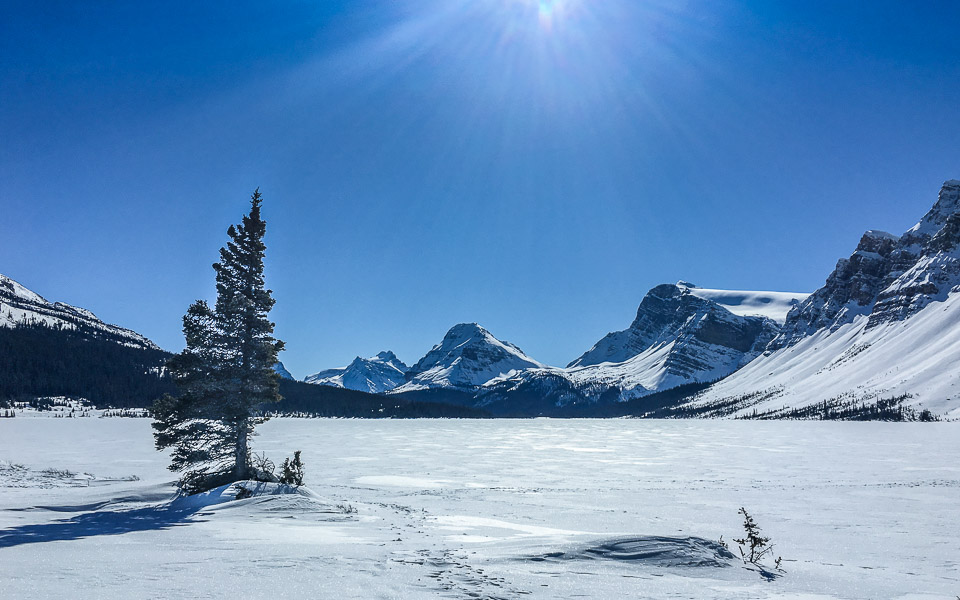 Bow Lake am Icefields Parkway Kanada