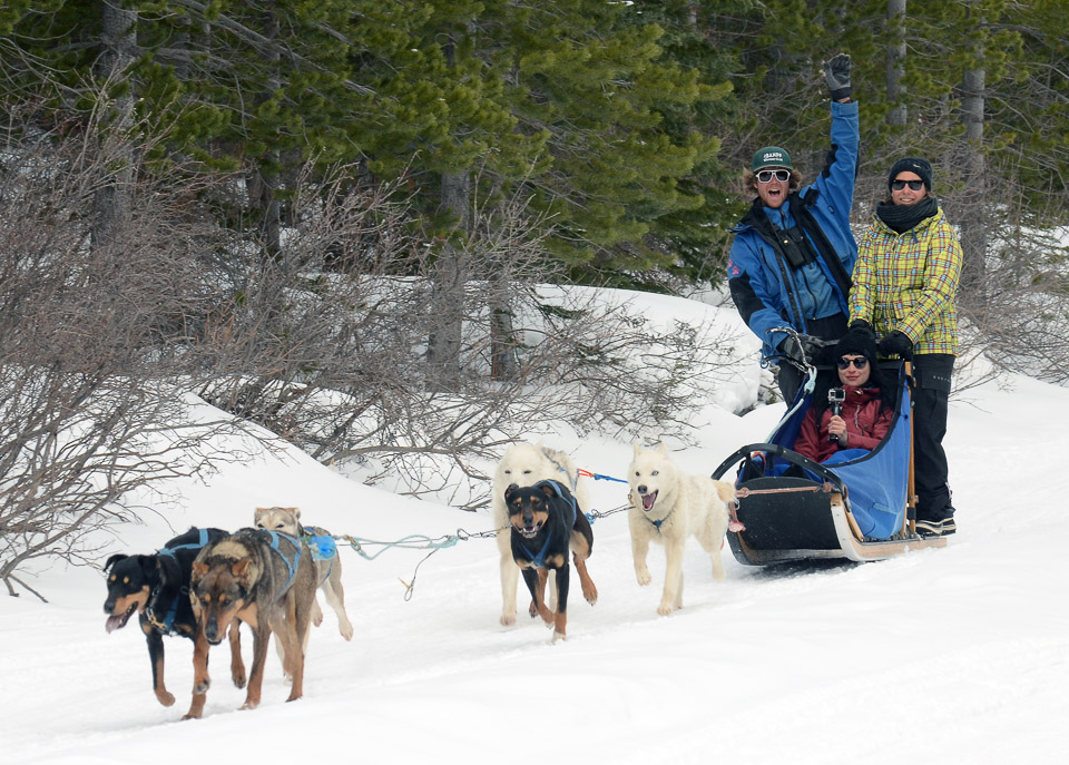 Hundeschlittenfahren Canmore Spray Lakes