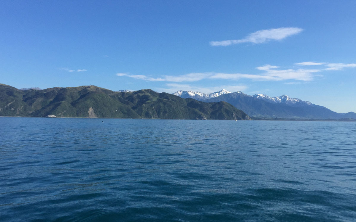 kaikoura-suedinsel-neuseeland