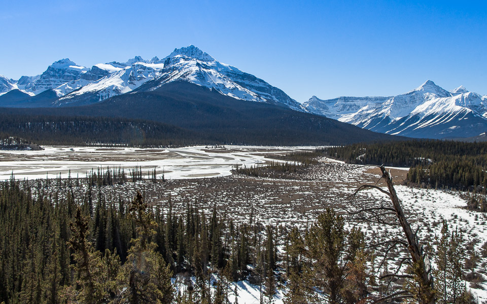 Aussicht am Howse Pass am Icefields Parkway Kanada