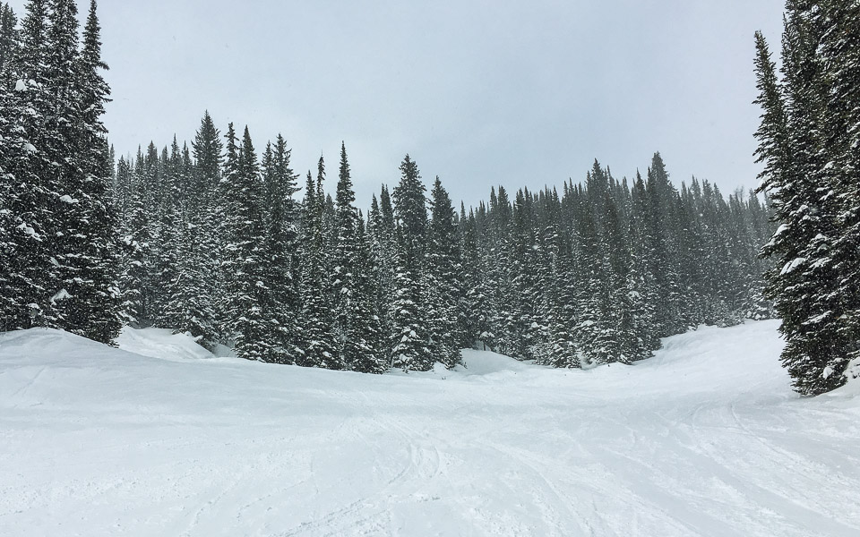 Neuschnee im Sunshine Village und leere Skipisten
