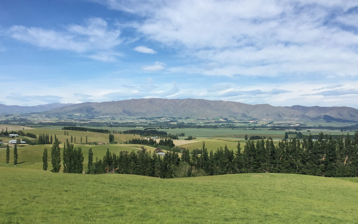 neuseeland-suedinsel-franz-josef (1)