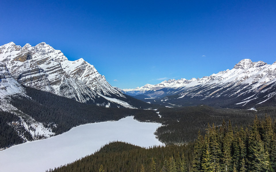 View Point am Peyto Lake Icefields Parkway im Winter
