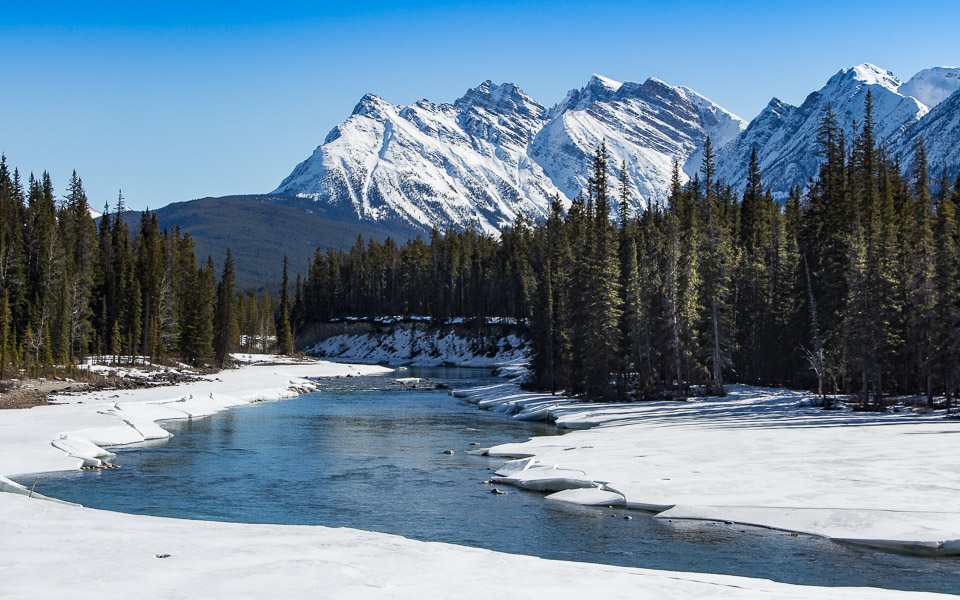 rocky-mountains-gebirgsfluss-icefields-parkway