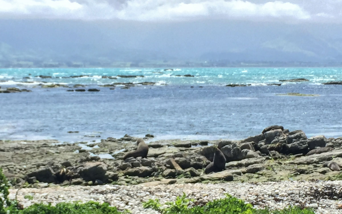 suedinsel-neuseeland-2