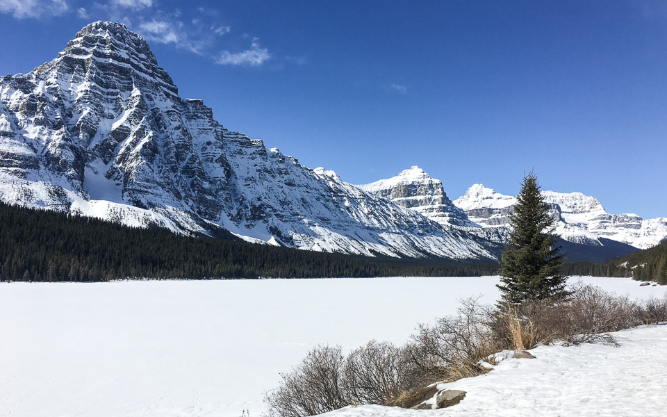 Waterfowl Lake: Mittagspause am Icefields Parkway