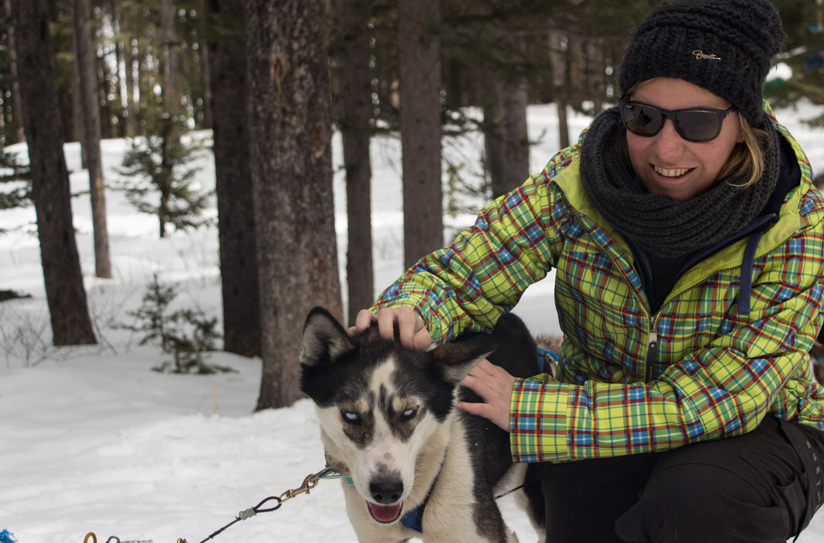 Hundeschlittenfahren Winter Kanada Rocky Mountains