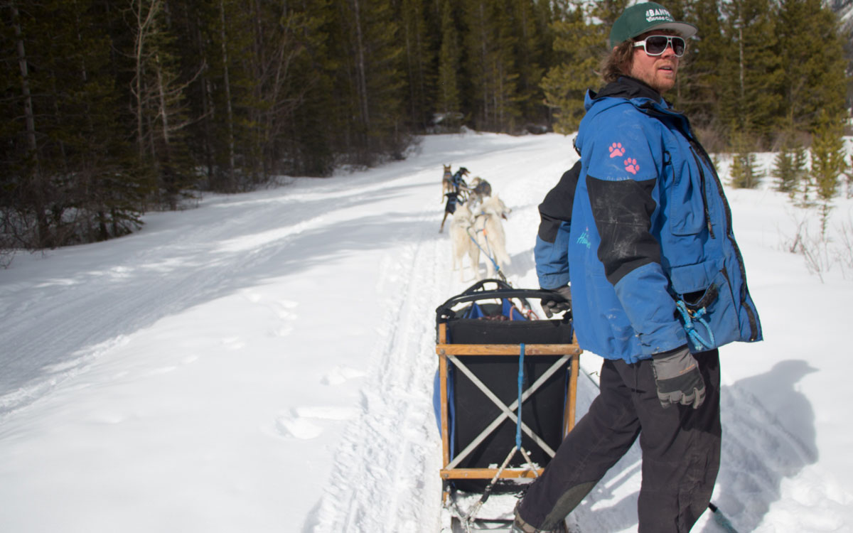 Kanada Rocky Mountains Hundeschlittenfahren Musher Teddy Hunde