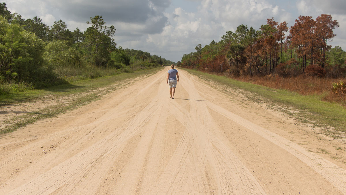 everglades national park tour