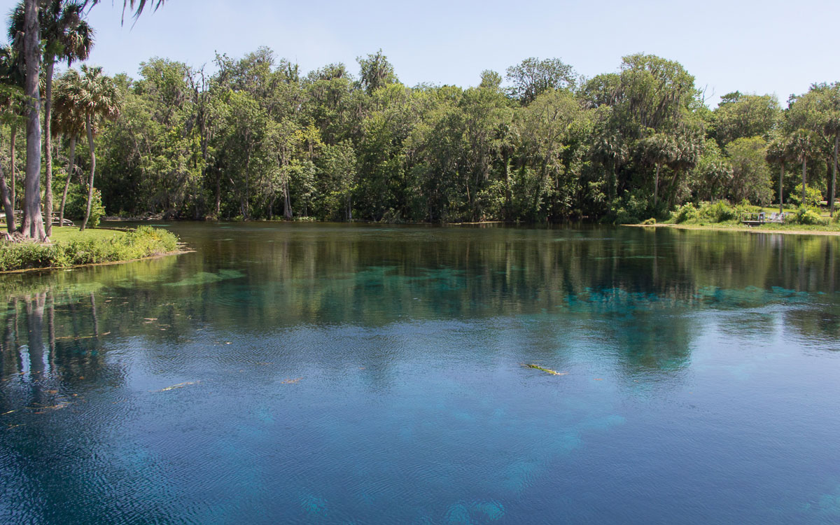 Silver Springs Ocala