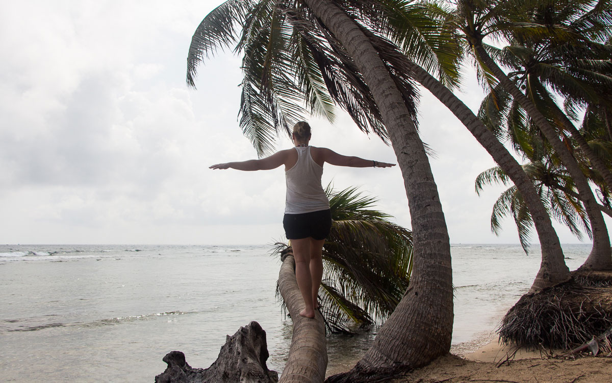 Isla Aguja San Blas Guna Yala