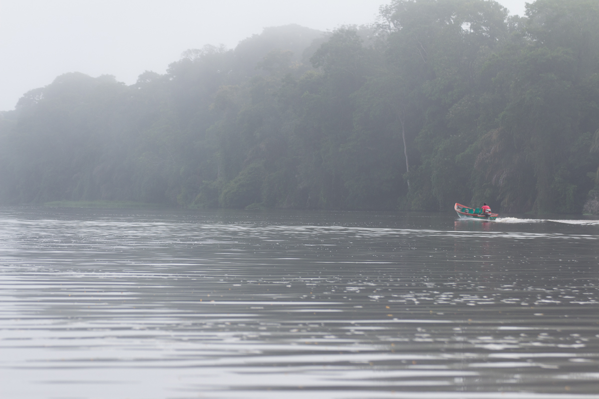 Tortuguero Nationalpark Boot Tour früh Morgen