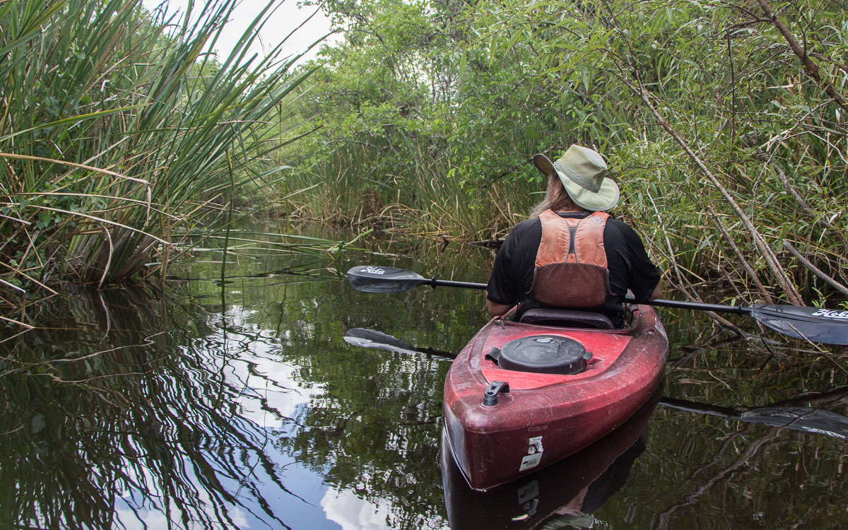 Everglades Nationalpark Kajaktour Guide Regis