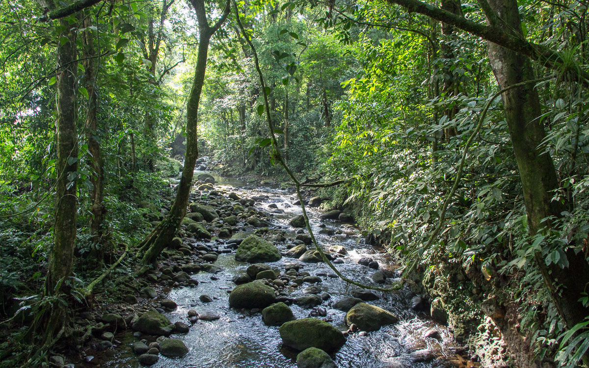 natur-anreise-tortuguero-costarica