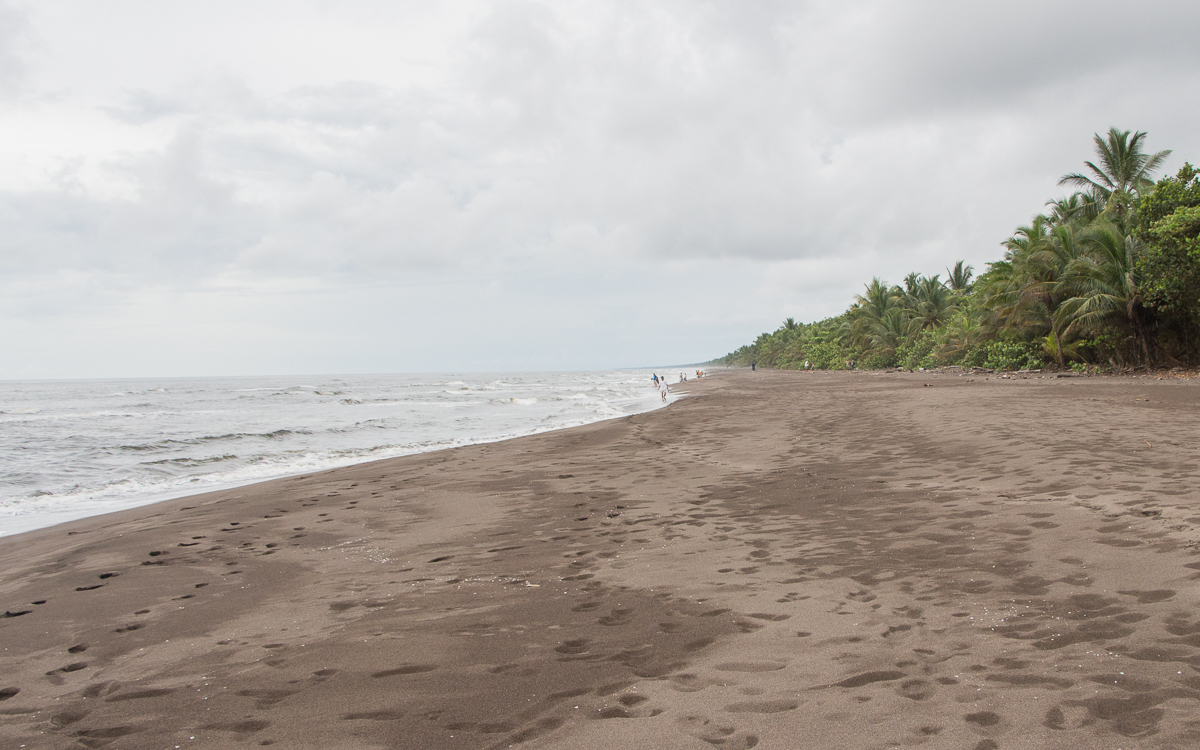 Tortuguero Nationalpark Schldkroetenstrand