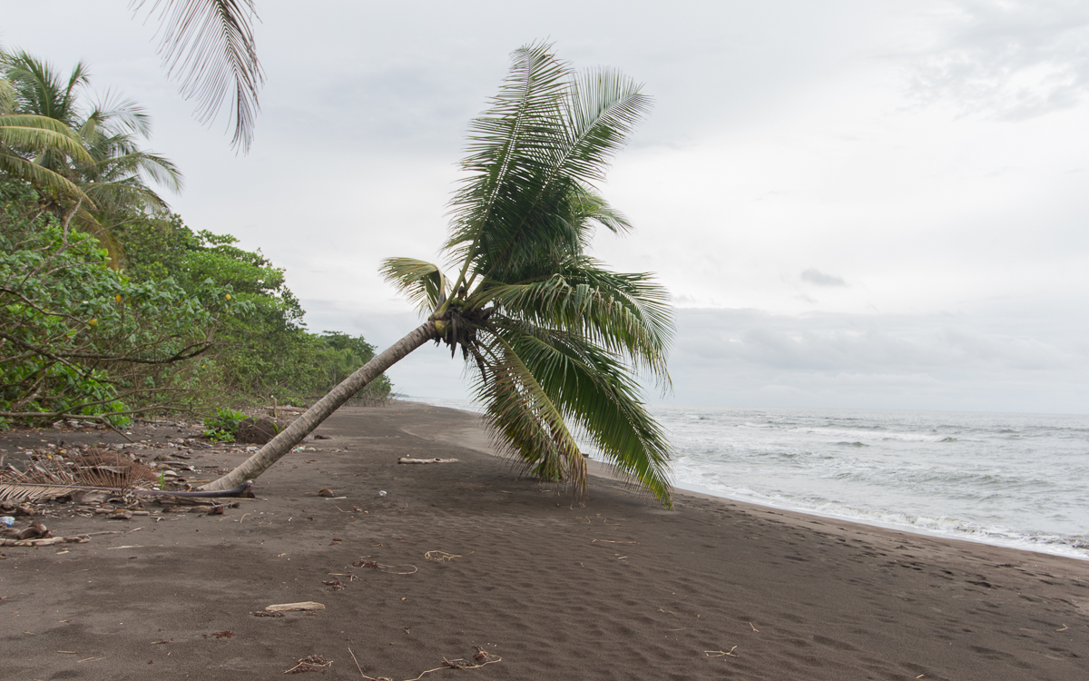 strand-tortuguero-nationalpark