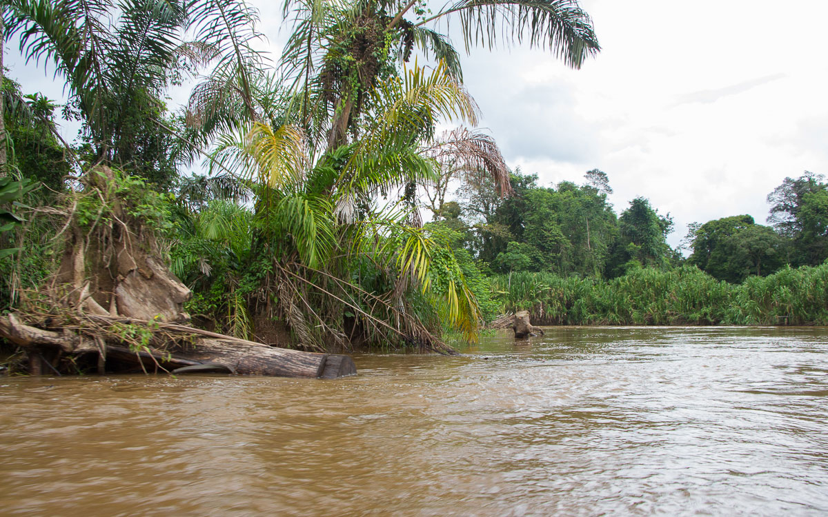 Tortuguero Nationalpark mit Boot erfolgt Anreise