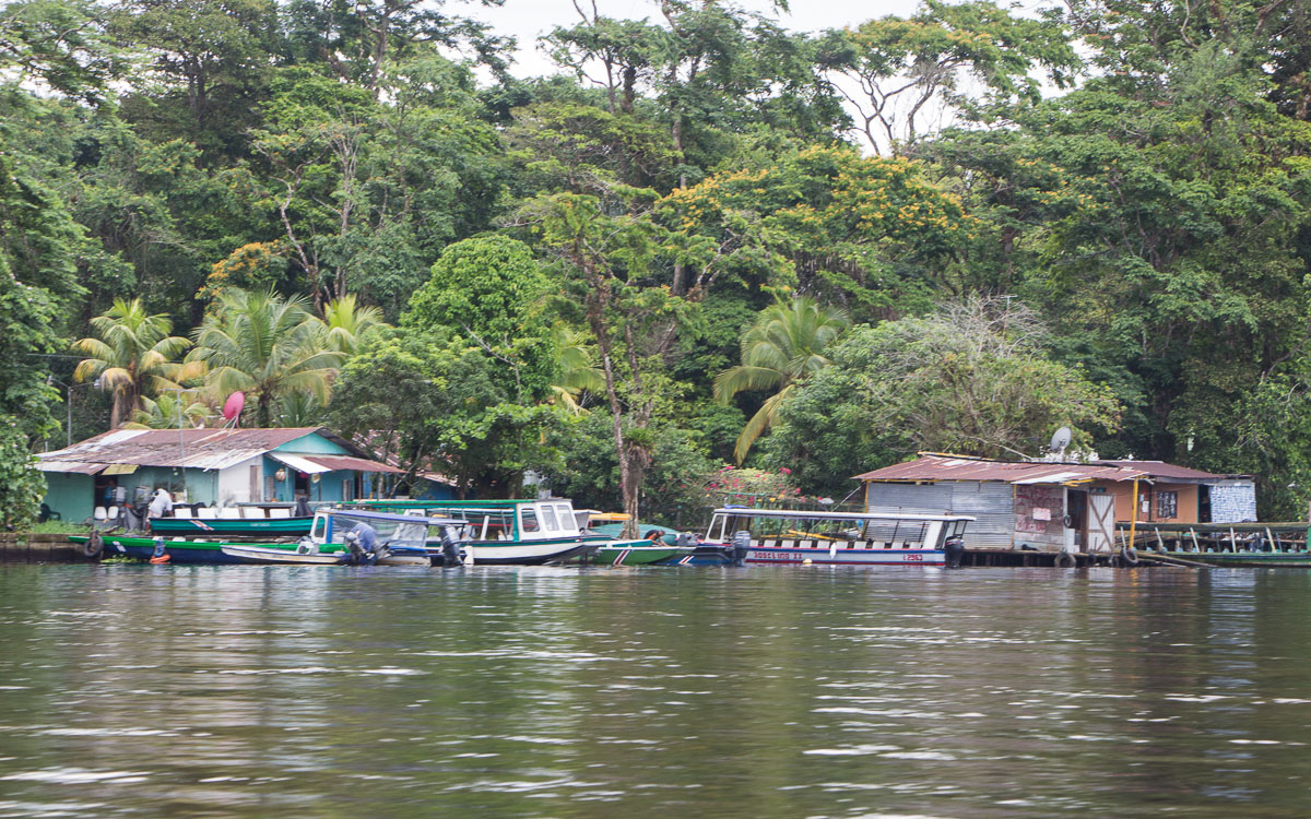 Tortuguero Nationalpark Dorf Hauptstadt