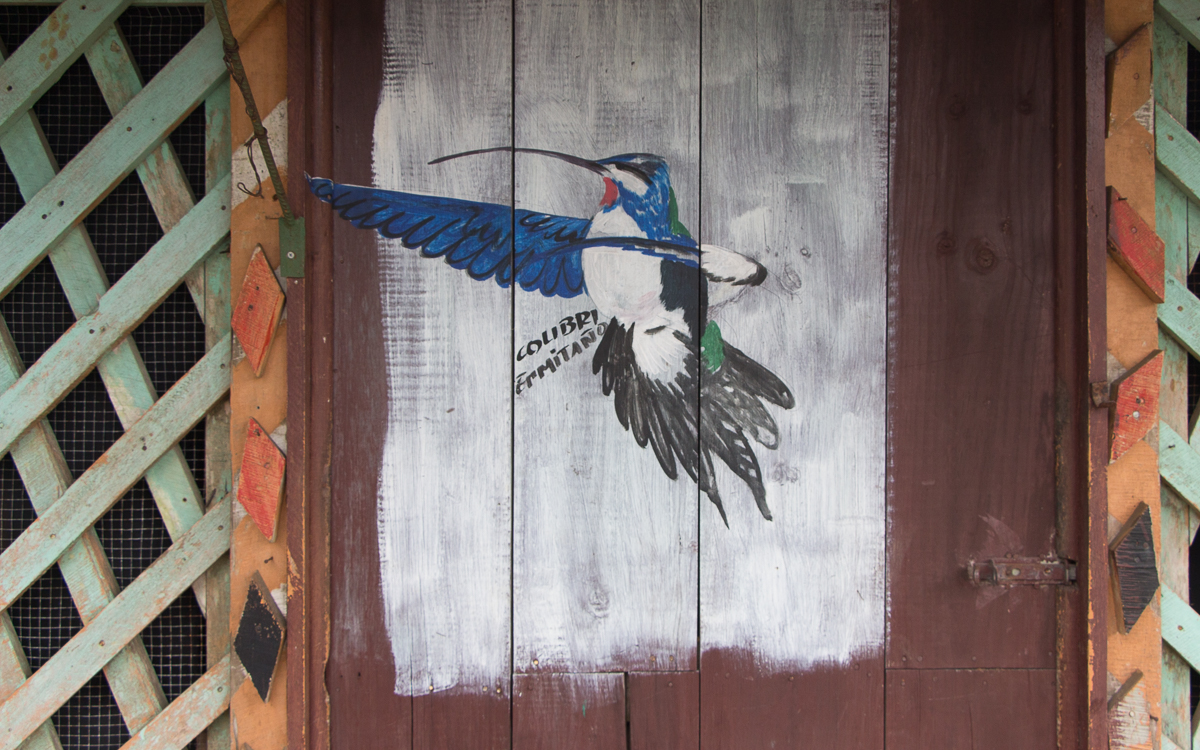 Tortuguero Nationalpark Street Art