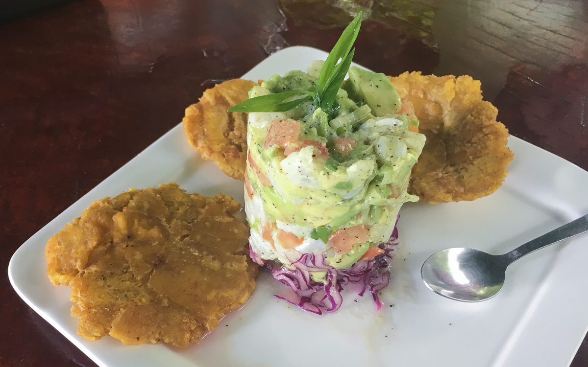 santa-teresa-ceviche-avocado-caracolas-malpais