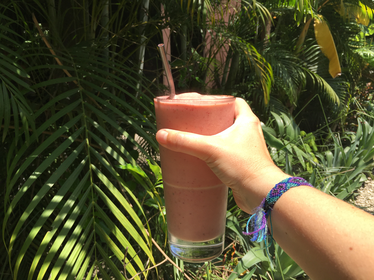 santa-teresa-costa-rica-olam-smoothies