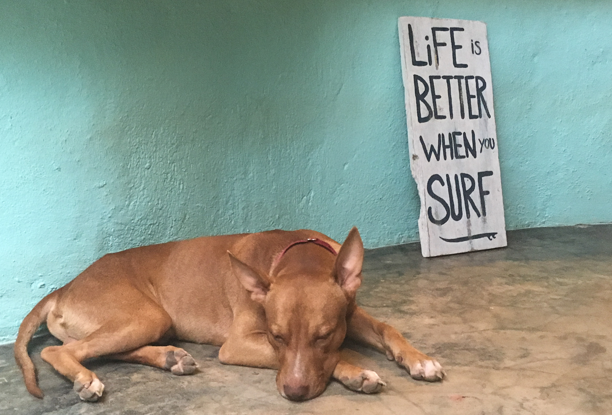 santa-teresa-costa-rica-surf