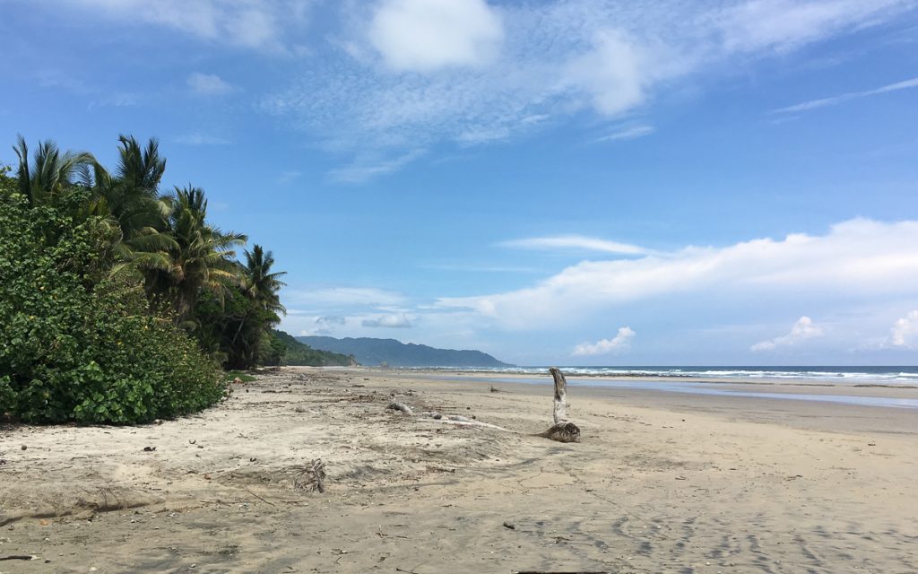 Costa Rica: Mein Lieblingsort: Santa Teresa Playa Hermosa