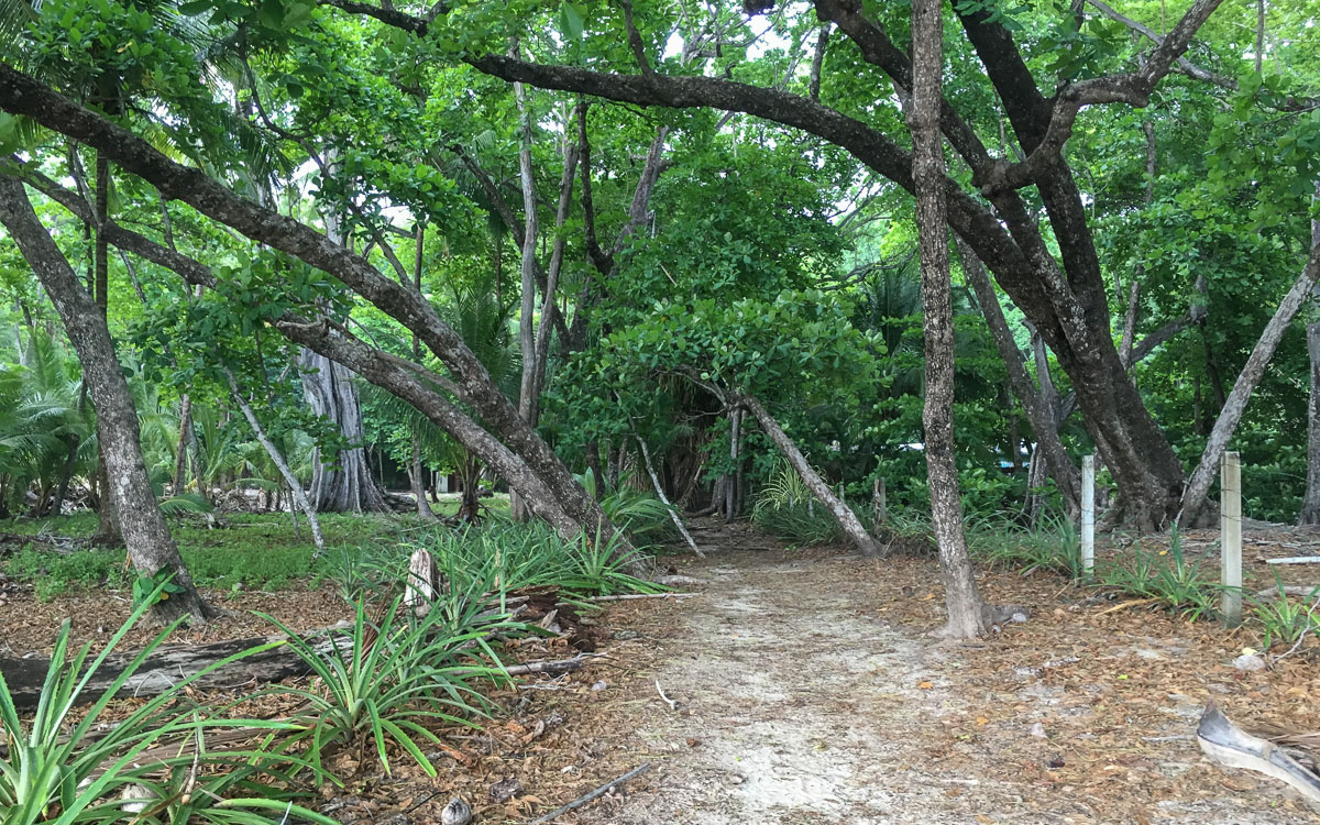 Santa Teresa Trampelpfad ans Meer