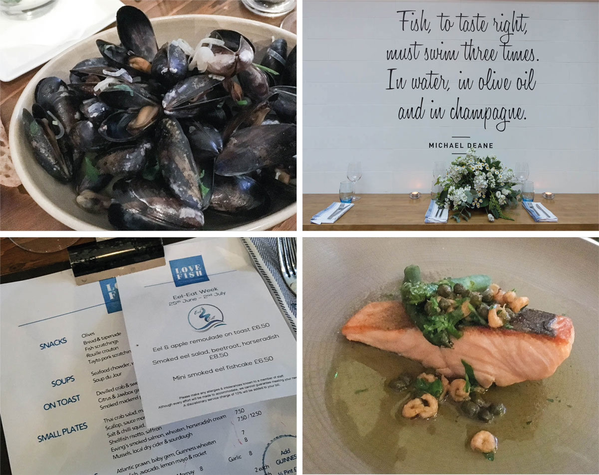 Einer meiner Lieblingsorte in Belfast für gutes Essen: Deanes Love Fish! Hier eine Auswahl meiner Speisen