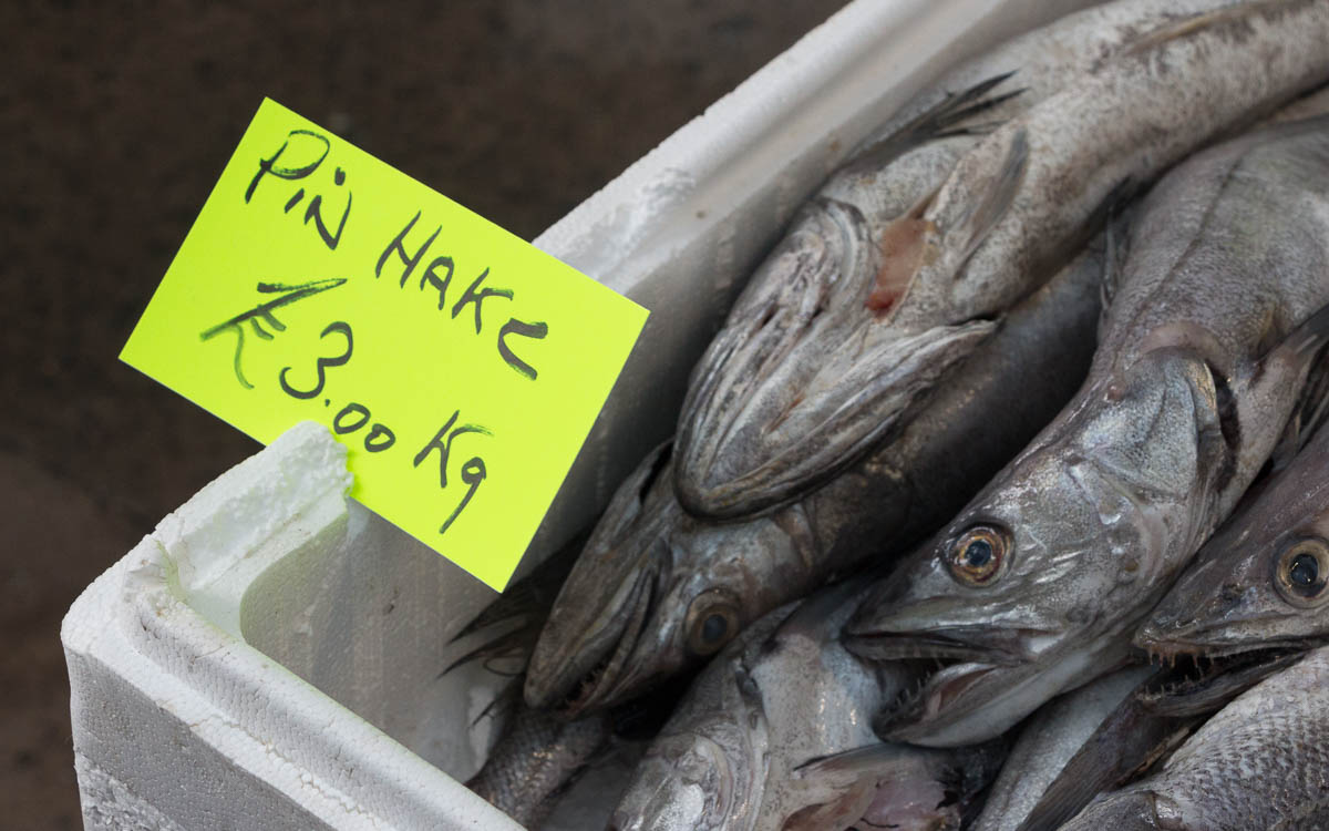 St. Georges Market - Belfast Sehenswüridigkeiten Fisch